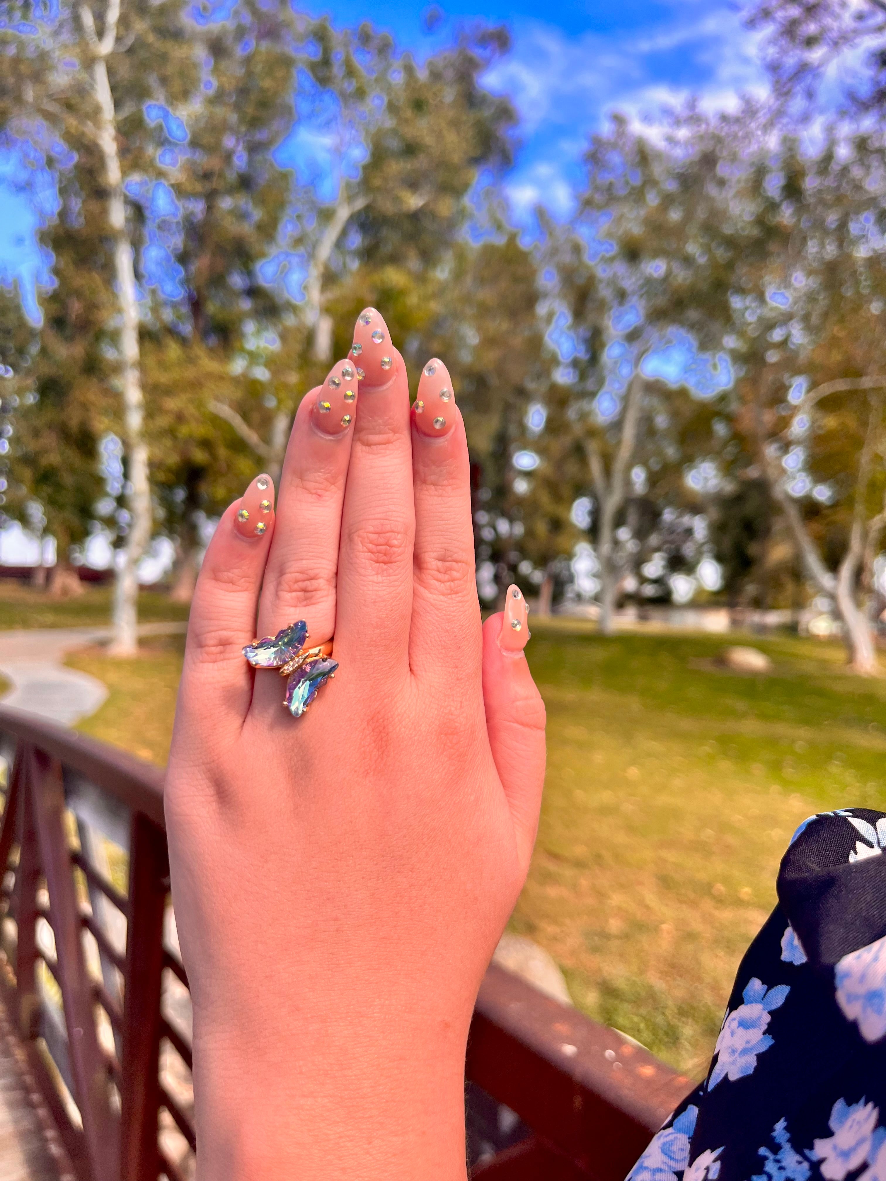 Butterfly fidget ring